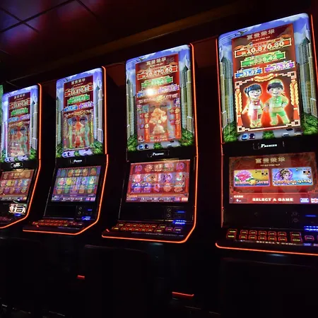 Zephyr - Plovanija Buje