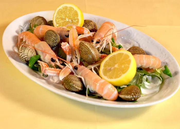 Hotel Zephyr - Plovanija