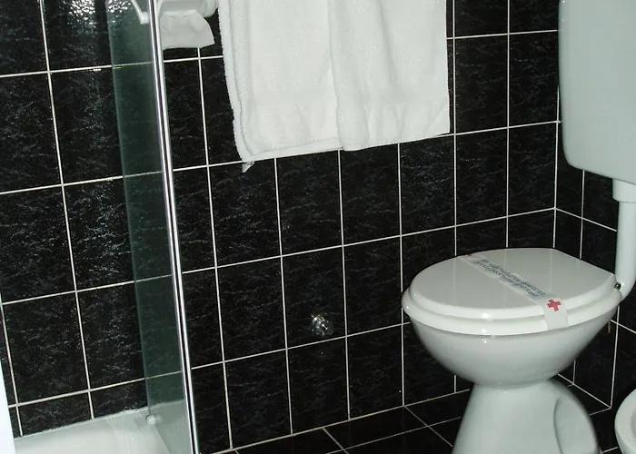 Zephyr - Plovanija Buje