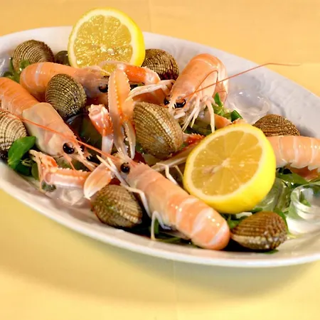 Hotel Zephyr - Plovanija